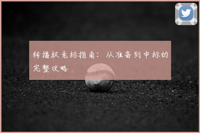 转播权竞标指南：从准备到中标的完整攻略