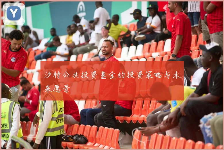 沙特公共投资基金的投资策略与未来愿景