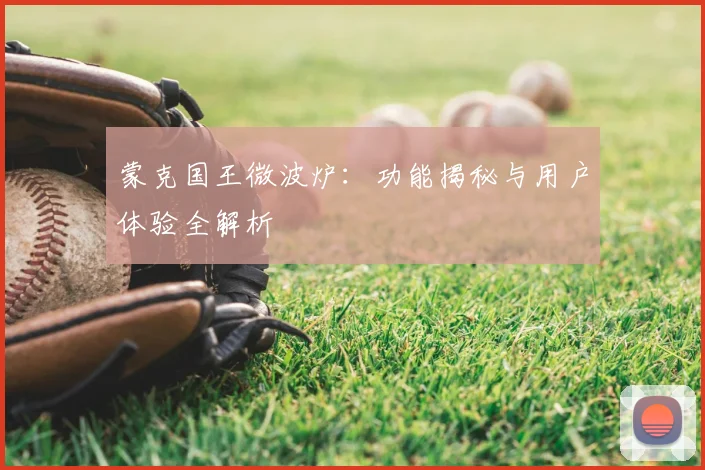 蒙克国王微波炉：功能揭秘与用户体验全解析